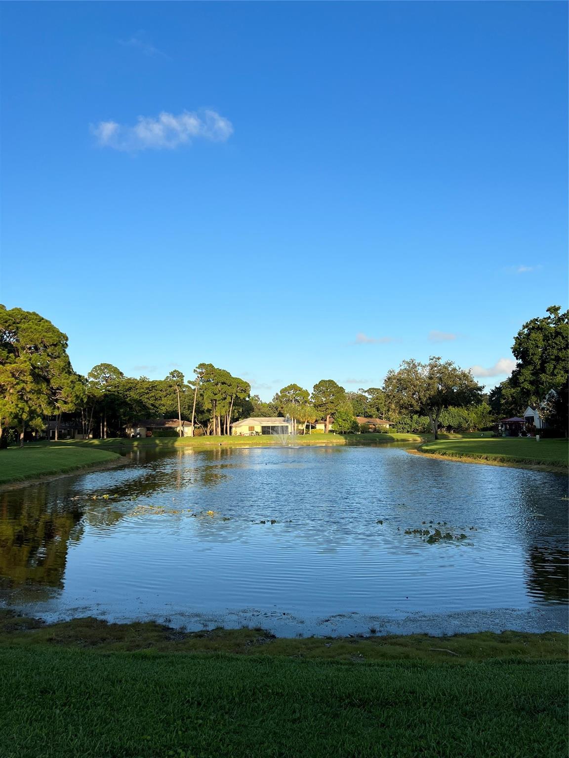 Manor Forest 01 - Land