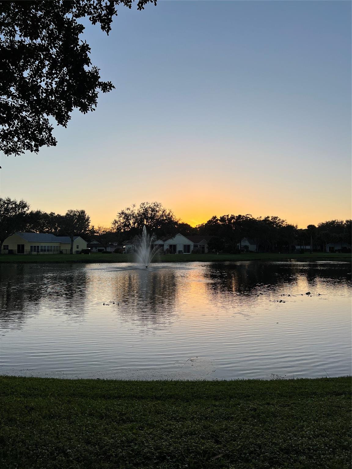 Manor Forest 01 - Land