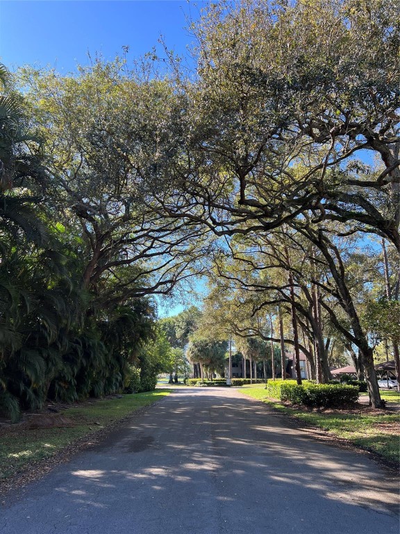 Manor Forest 01 - Land