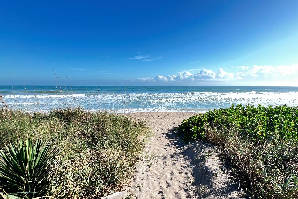 3541 NE Ocean Boulevard NE 15