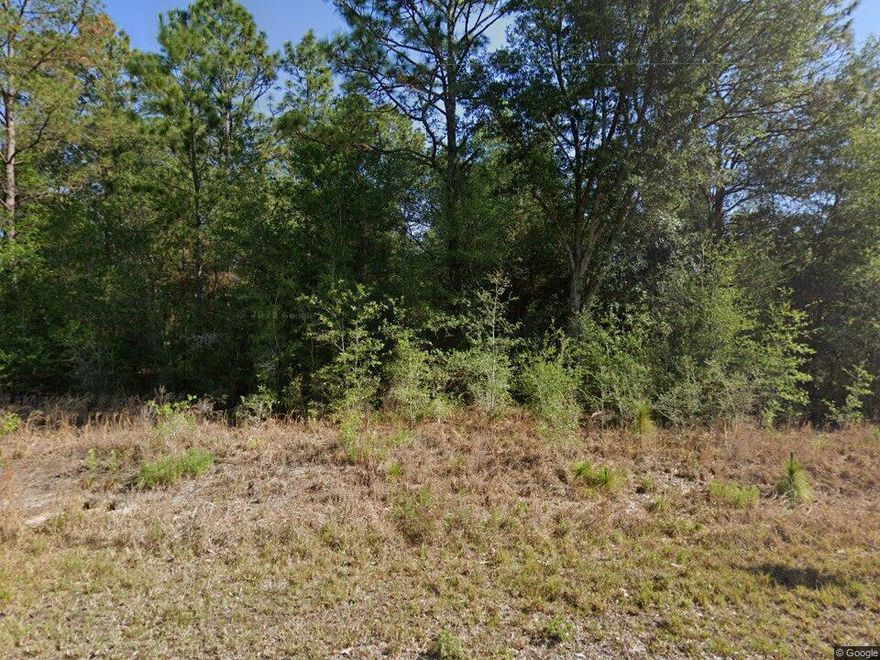Enjoy peaceful living in the heart of Dunnellon with this beautiful lot on SW Audubon Ave. Located in a quiet, established neighborhood, this property offers the ideal setting to build your dream home or weekend retreat. Surrounded by lush greenery and natural beauty, you'll appreciate the tranquility of country living while still being close to local amenities, shopping, and the scenic Rainbow River. A fantastic opportunity to create your perfect oasis in this charming community