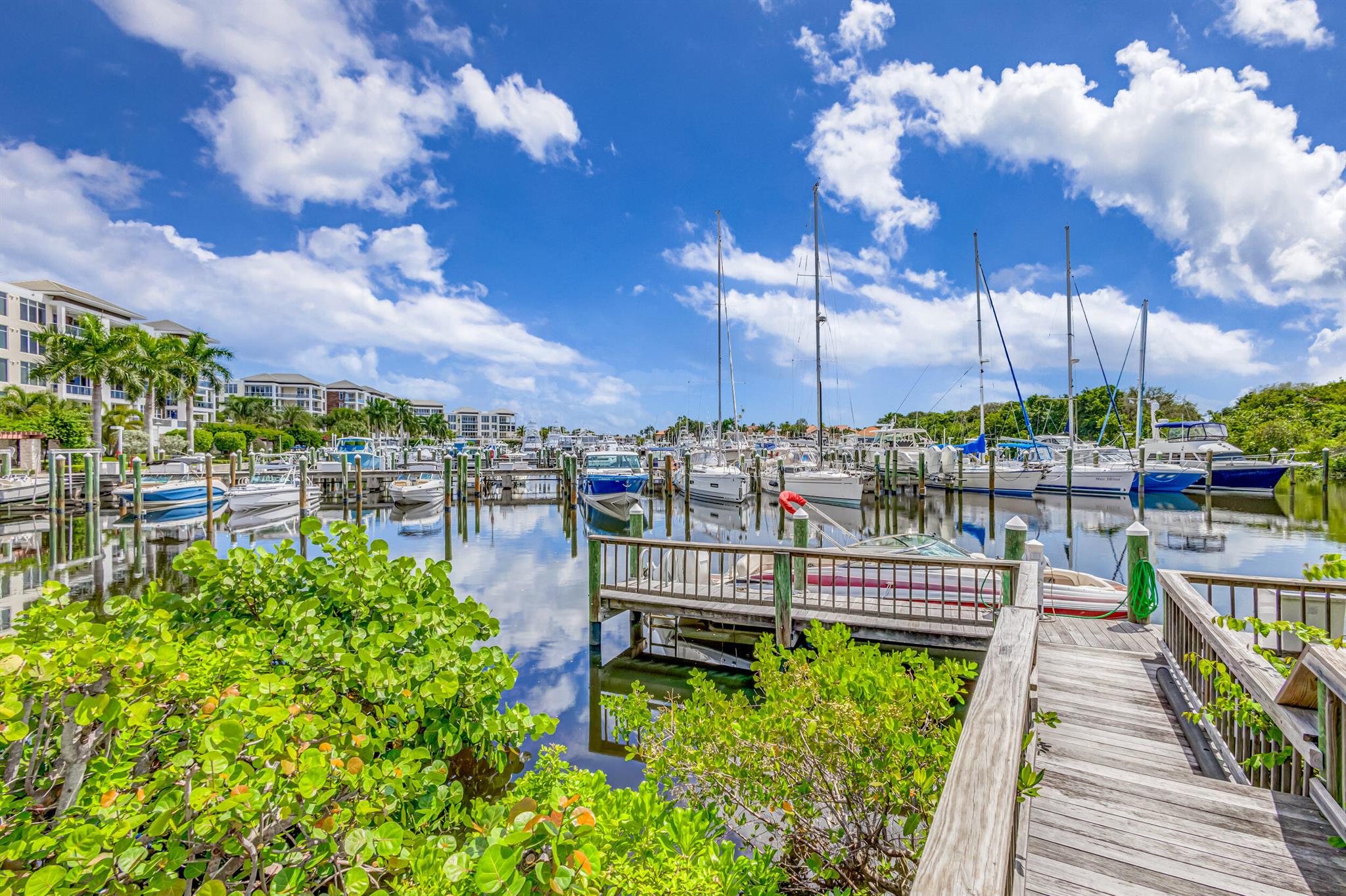 Azure Condo - Residential