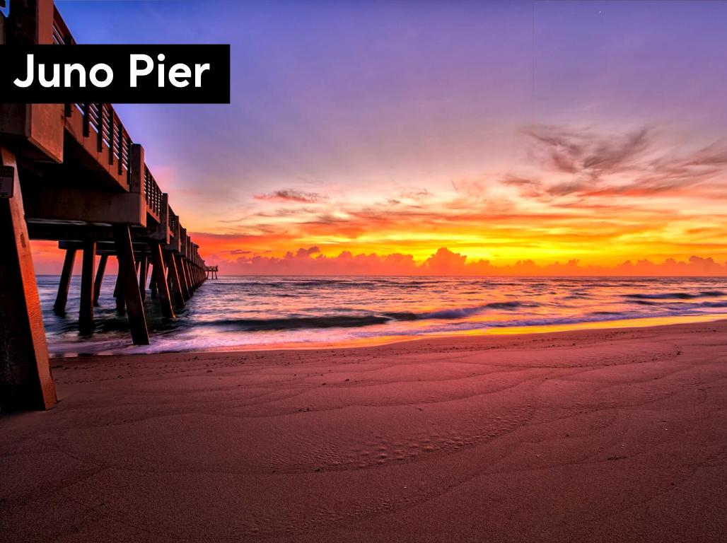 WINDSOR PARK AT ABACOA - Residential