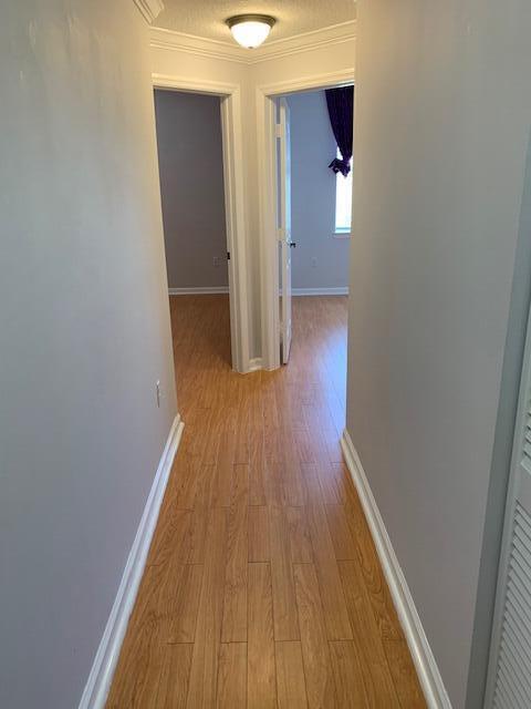 SOMERSET AT ABACOA CONDO - Residential Lease