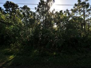 PORT ST LUCIE SECTION 47 - Land