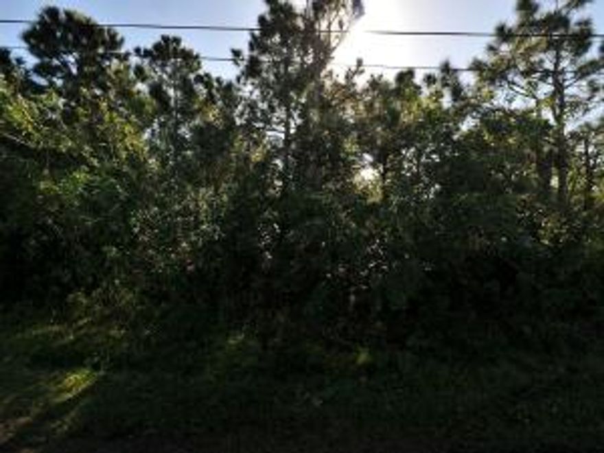 Desirable lot in Torino area