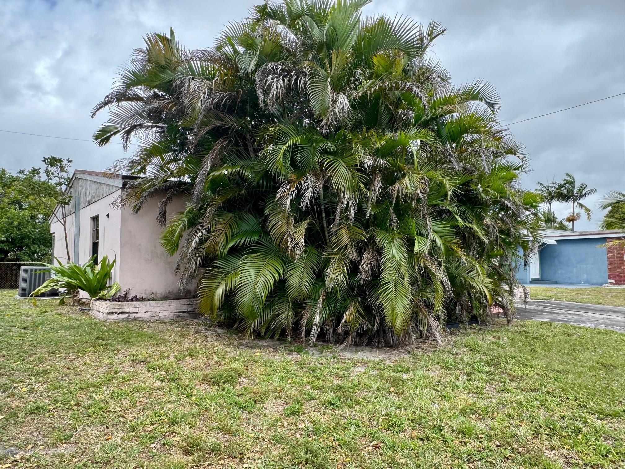 North Andrews Terrace Sec - Residential