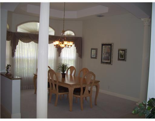 Paddock Park 01 Wellington - Residential