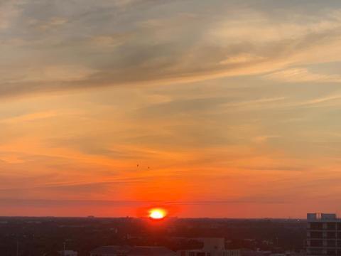 The Commodore Condo - Residential Lease