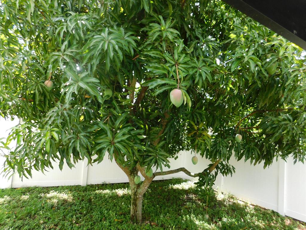 HUNTINGTON WOODS - Residential