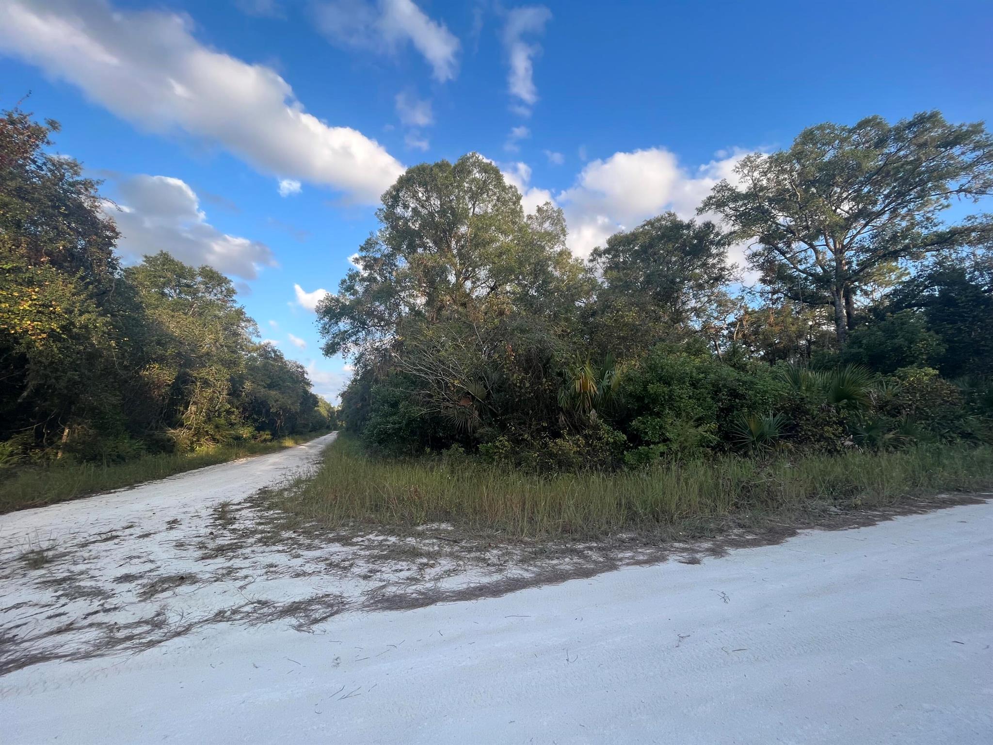 Do not miss out in these high and dry corner lots totaling .46 acres waiting for you to bring your mobile or build your new single-family home! These are two .23 acre lots that are being sold together but are separate lots so you can build 2 homes or keep one for privacy. Buy and build now or hold for the future there is no limit on building and the possibilities are endless. Excellent location. These lots are located in Old Town, FL, just 1 hour West of Gainesville if you want to be away from it all but still close to Gainesville for work and entertainment. Only a short drive to shopping, restaurants and medical facilities. Surrounded by plenty of boating, fishing and other water-based activities, with many nearby boat ramps to access the Suwannee River and not too far from the Gulf of M