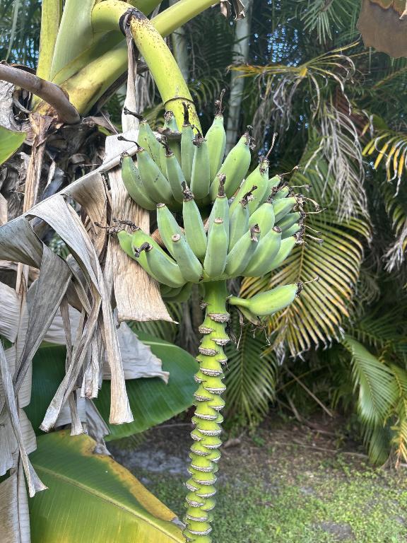 Port Saint Lucie - Land