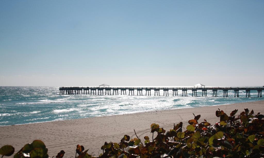 ISLAND AT ABACOA - Residential Lease