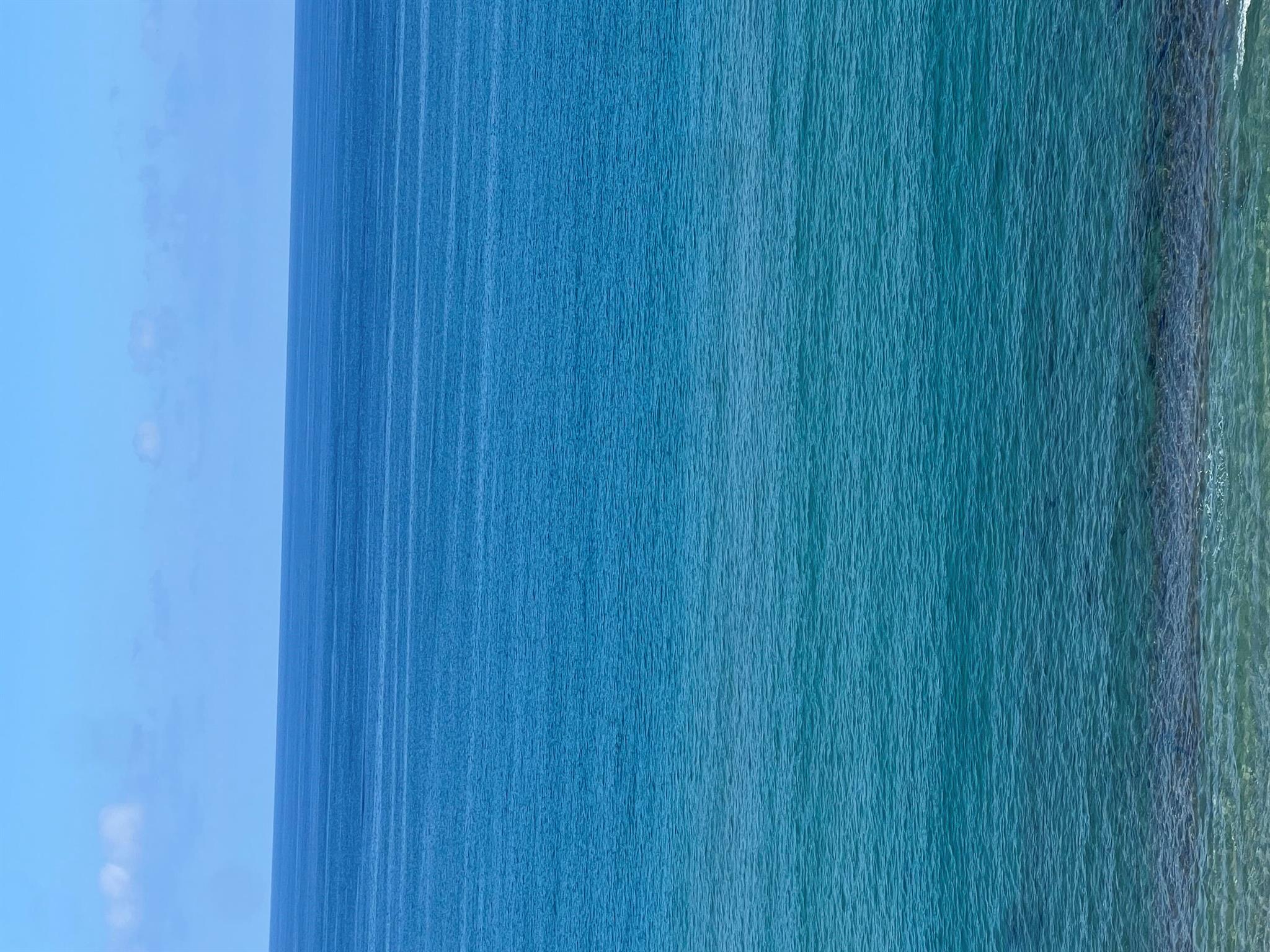 MAYFAIR HOUSE CONDO - Residential