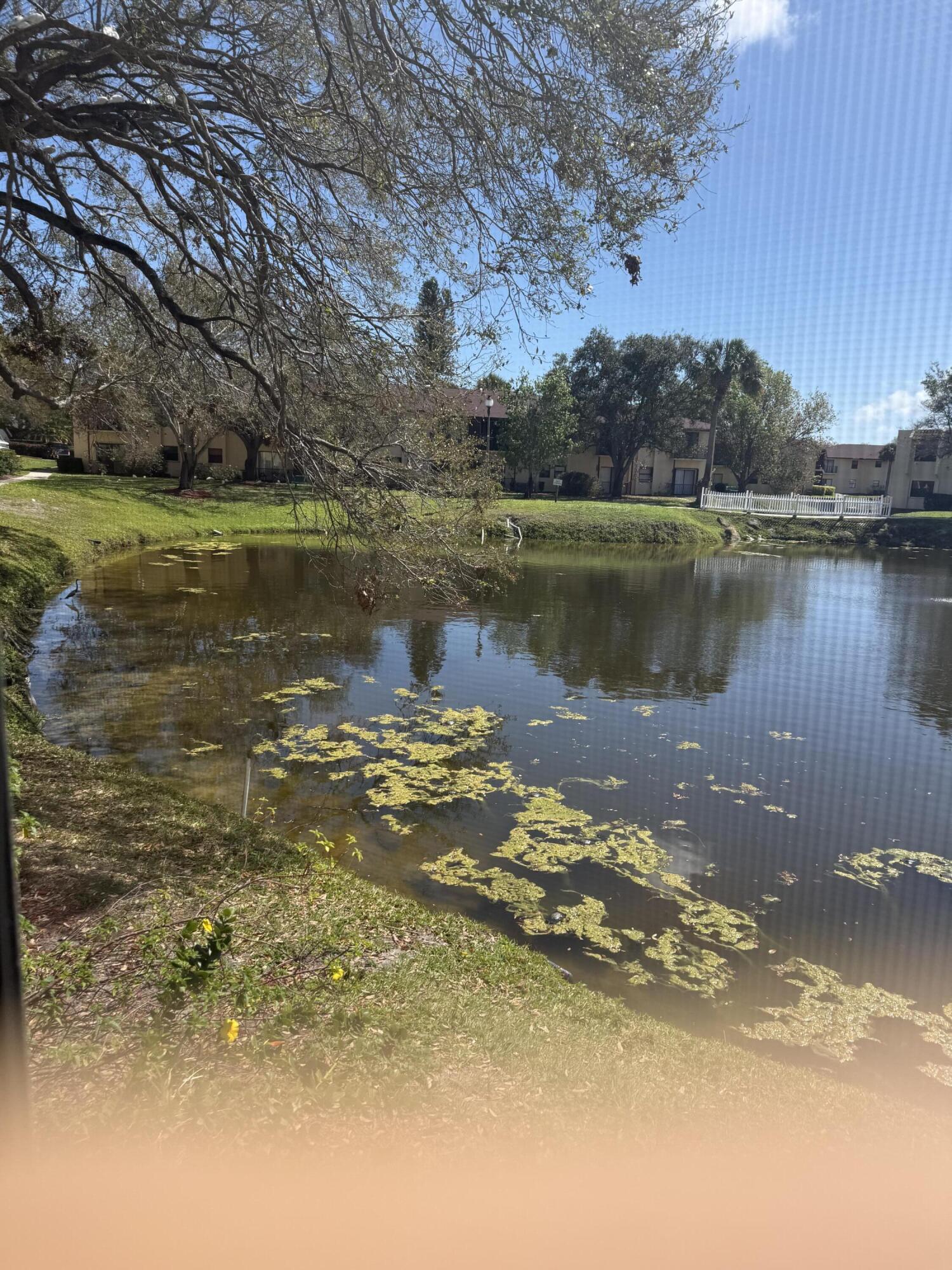 Island House Condo Ph 02 - Residential