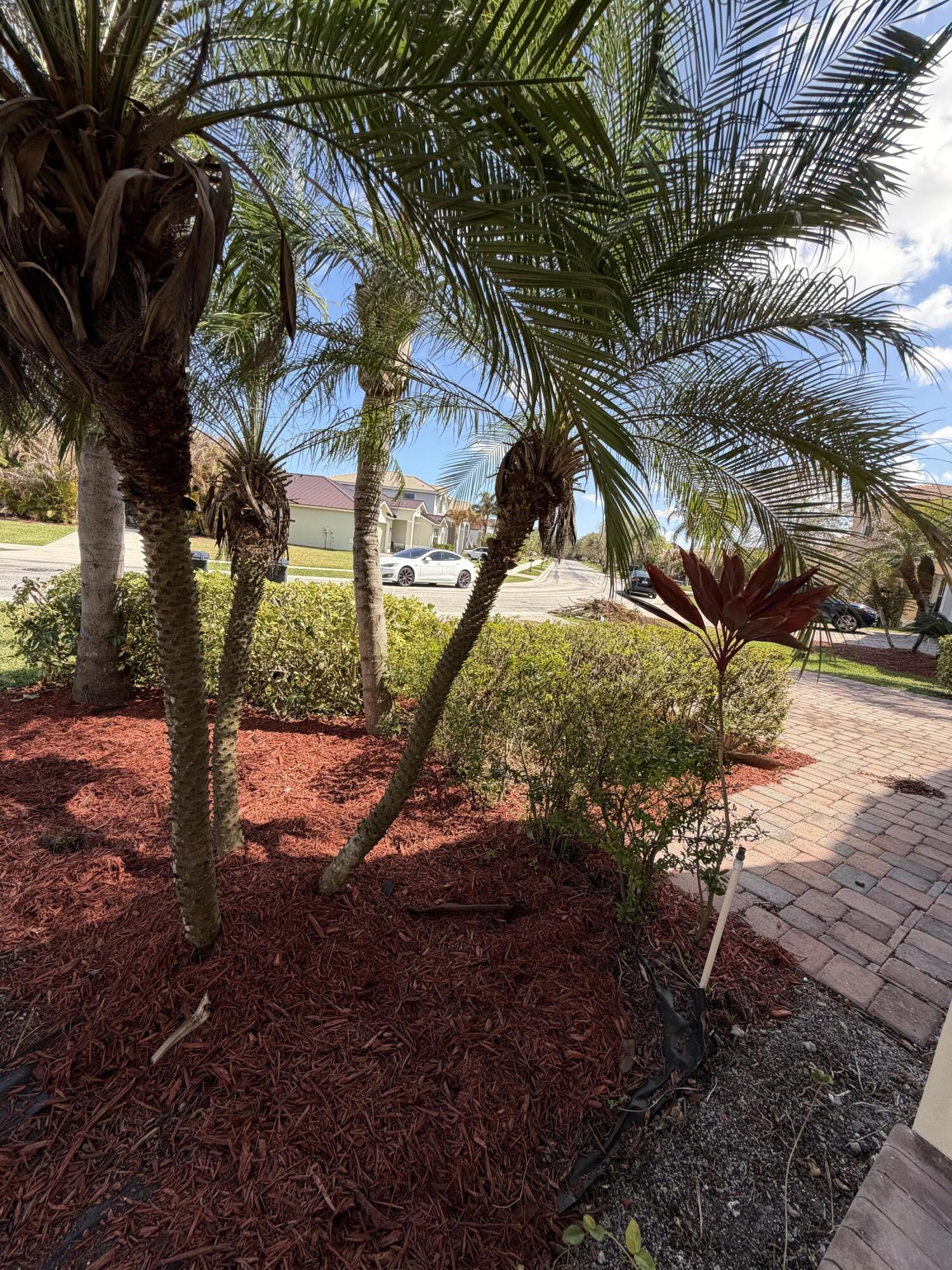 MARTINS CROSSING - Residential Lease