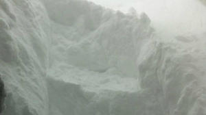 FOREST GROVE PATIO HOMES - Residential Lease