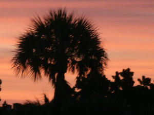 FOREST GROVE PATIO HOMES - Residential Lease