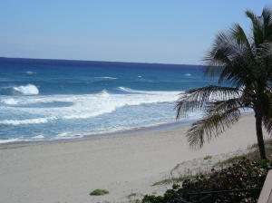 FOREST GROVE PATIO HOMES - Residential Lease