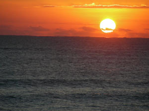 FOREST GROVE PATIO HOMES - Residential Lease