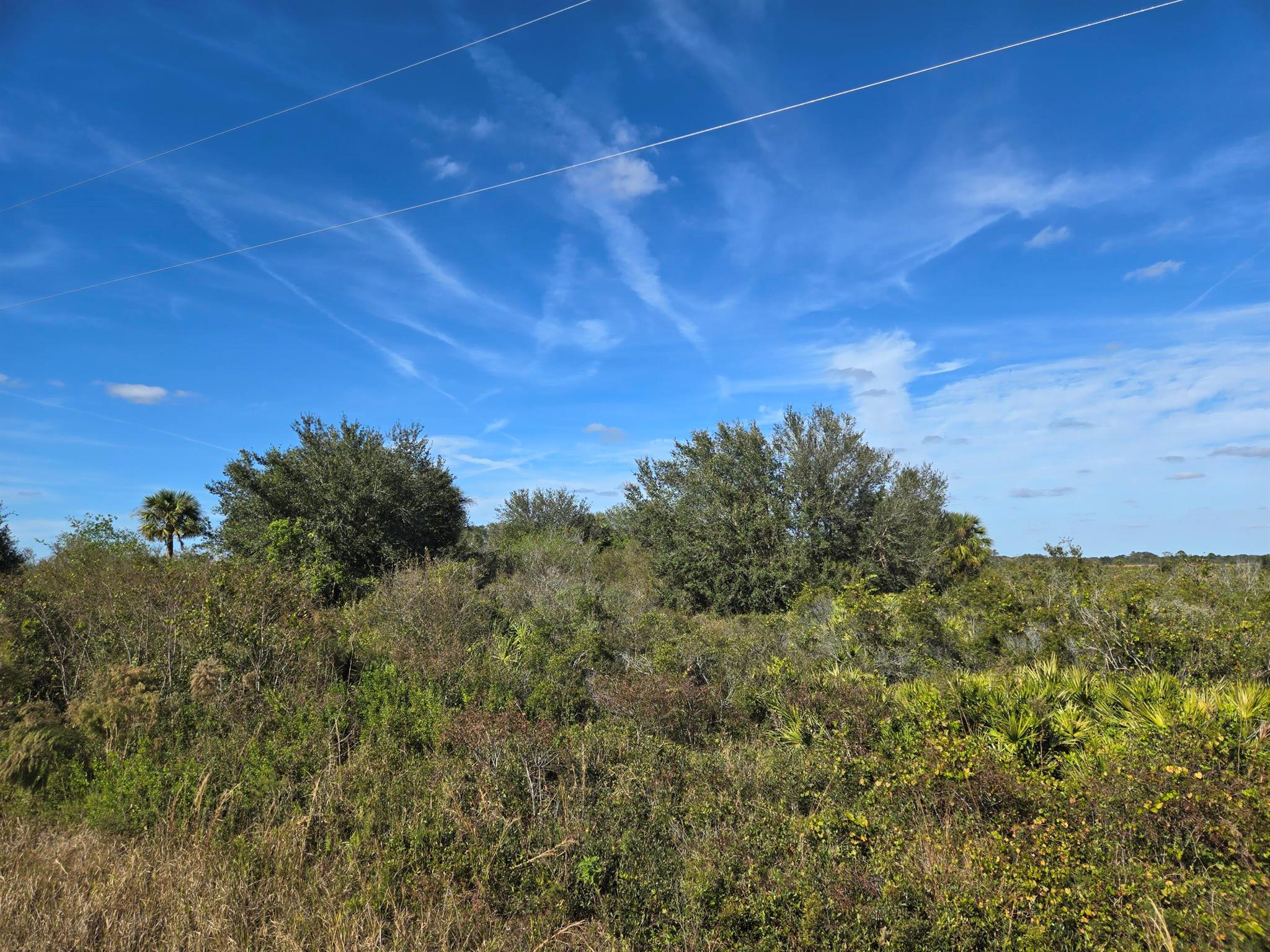 1.25 of vacant land in rural Okeechobee county. This beautiful property is high and dry. If you are looking for country living or just a weekend getaway this is the area. County allows manufactured homes in this rural area and some livestock. Close to the Kissimmee river state park makes this area a tranquil location. Priced to sell, don't miss out on your little piece of country.