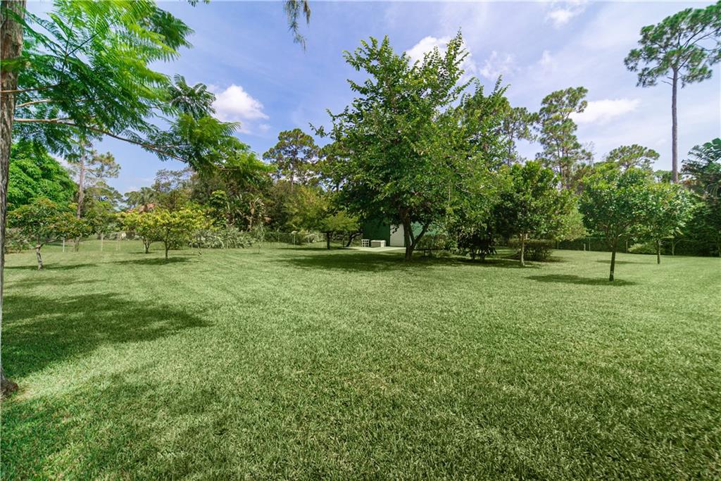 Pine Tree Estates - Residential