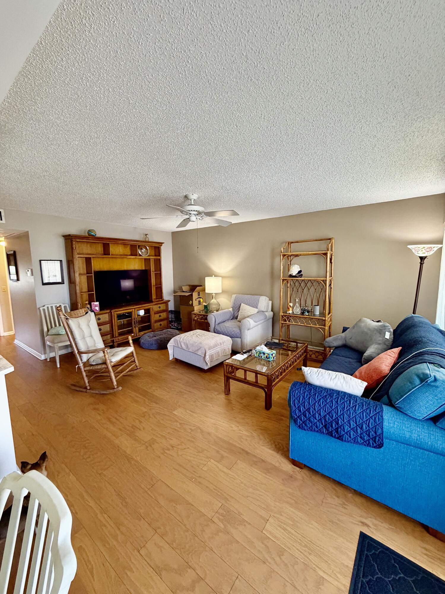 CENTURY VILLAGE - Residential