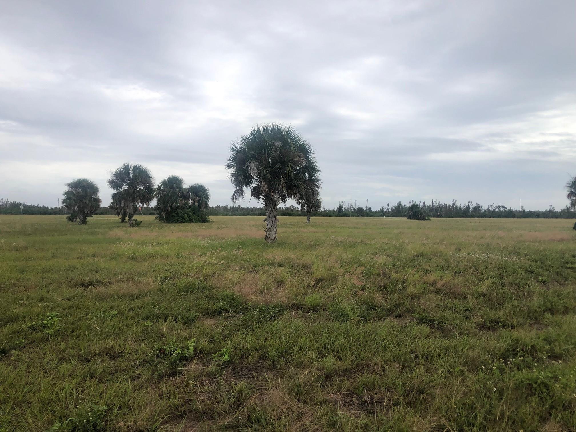 This cleared vacant lot is located in the community of Rotonda Meadows Villas. This lot is perfect for building your dream home in Florida.
Owner financing available with only $1,000 down
