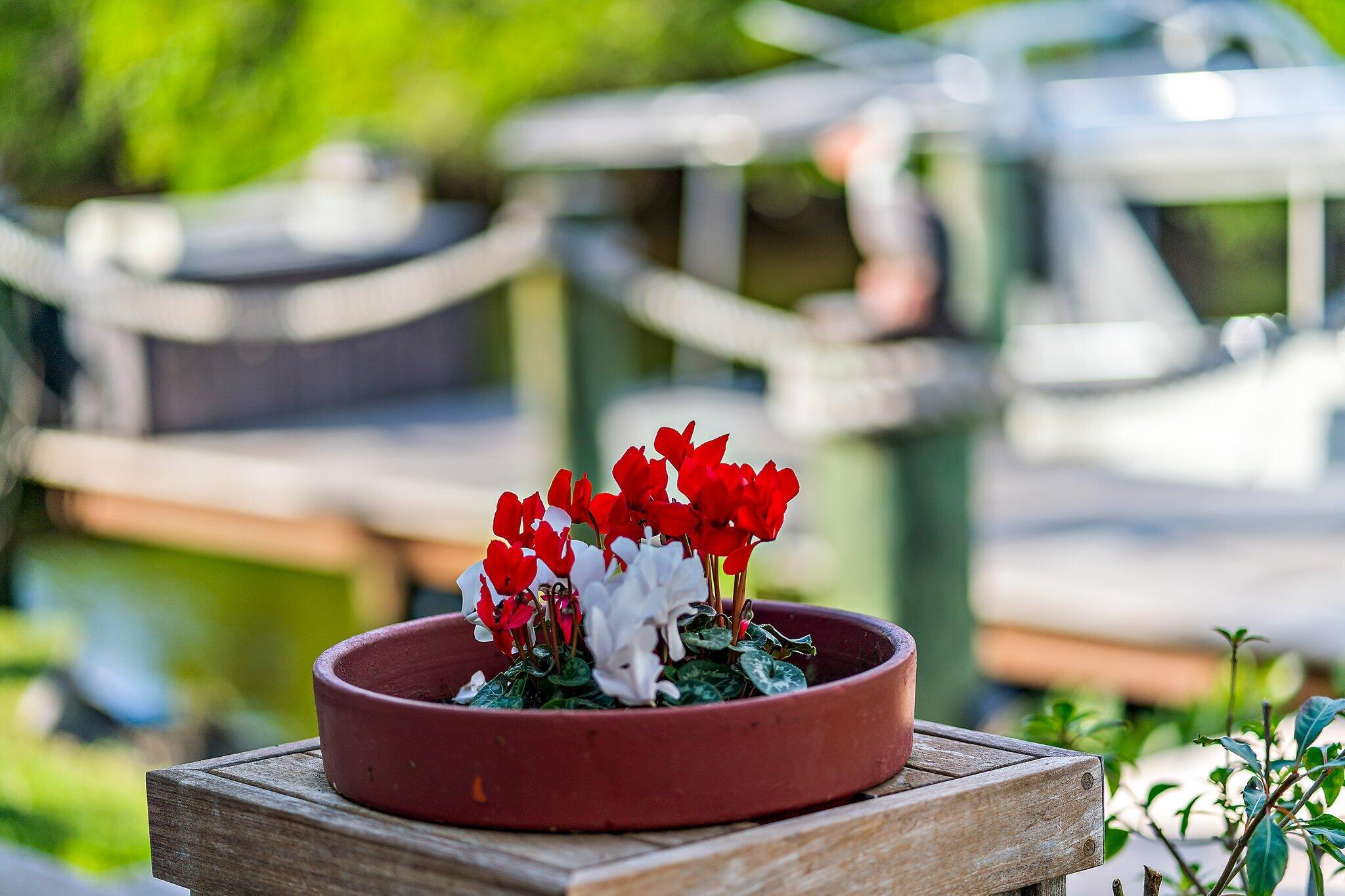 St. Lucie Settlment - Residential