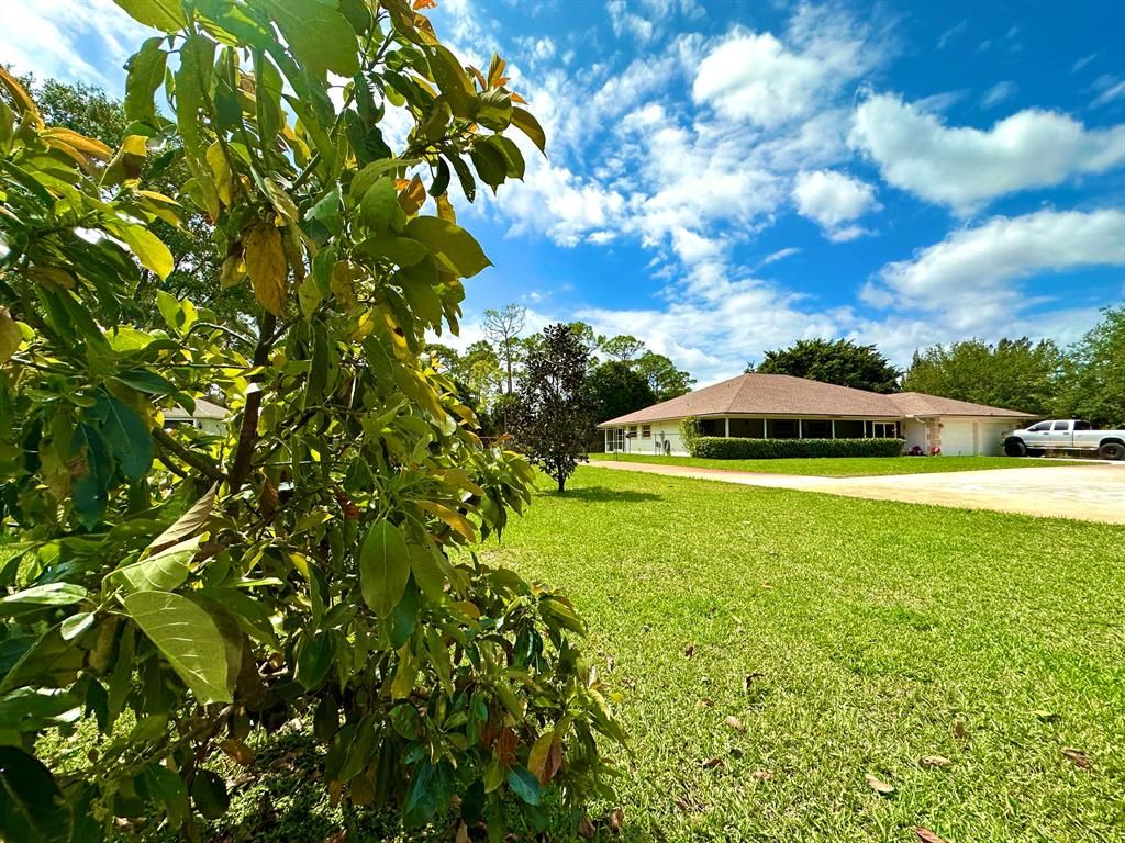 Photo of 14410 71st Place N, Loxahatchee, FL 33470 (MLS # R10875153)
