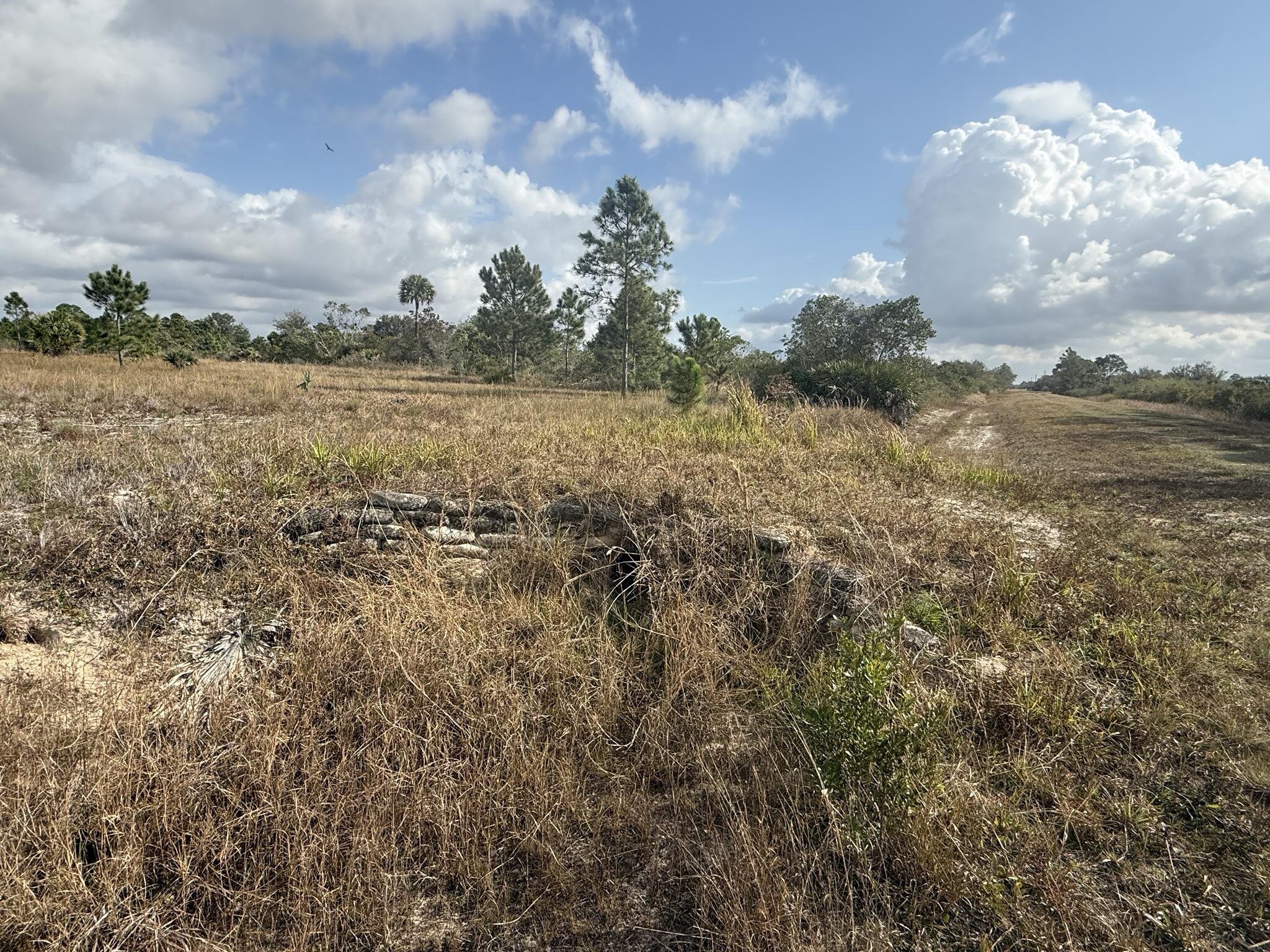 SOUTHERN COLONIZATION CO - Land