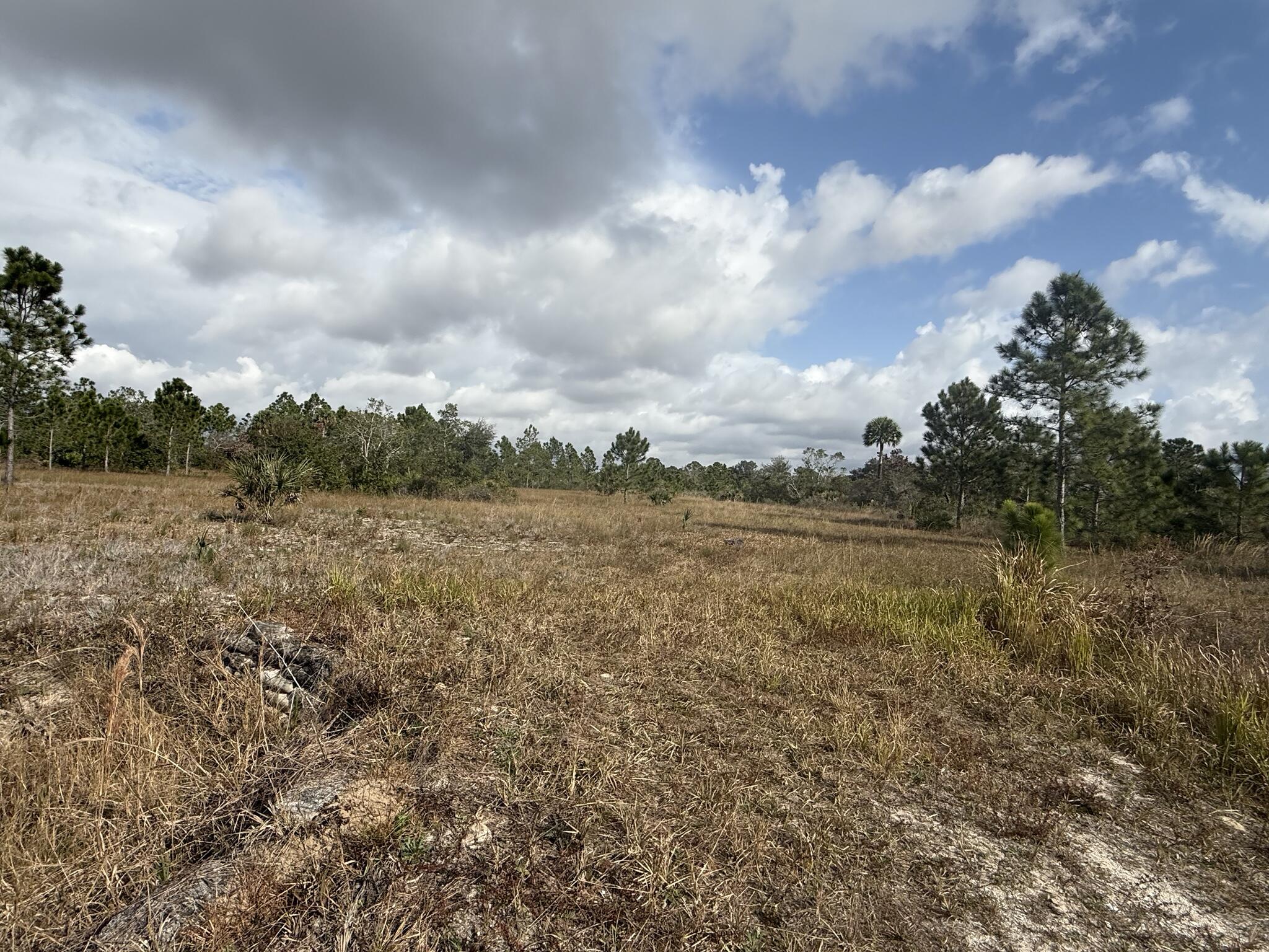 SOUTHERN COLONIZATION CO - Land