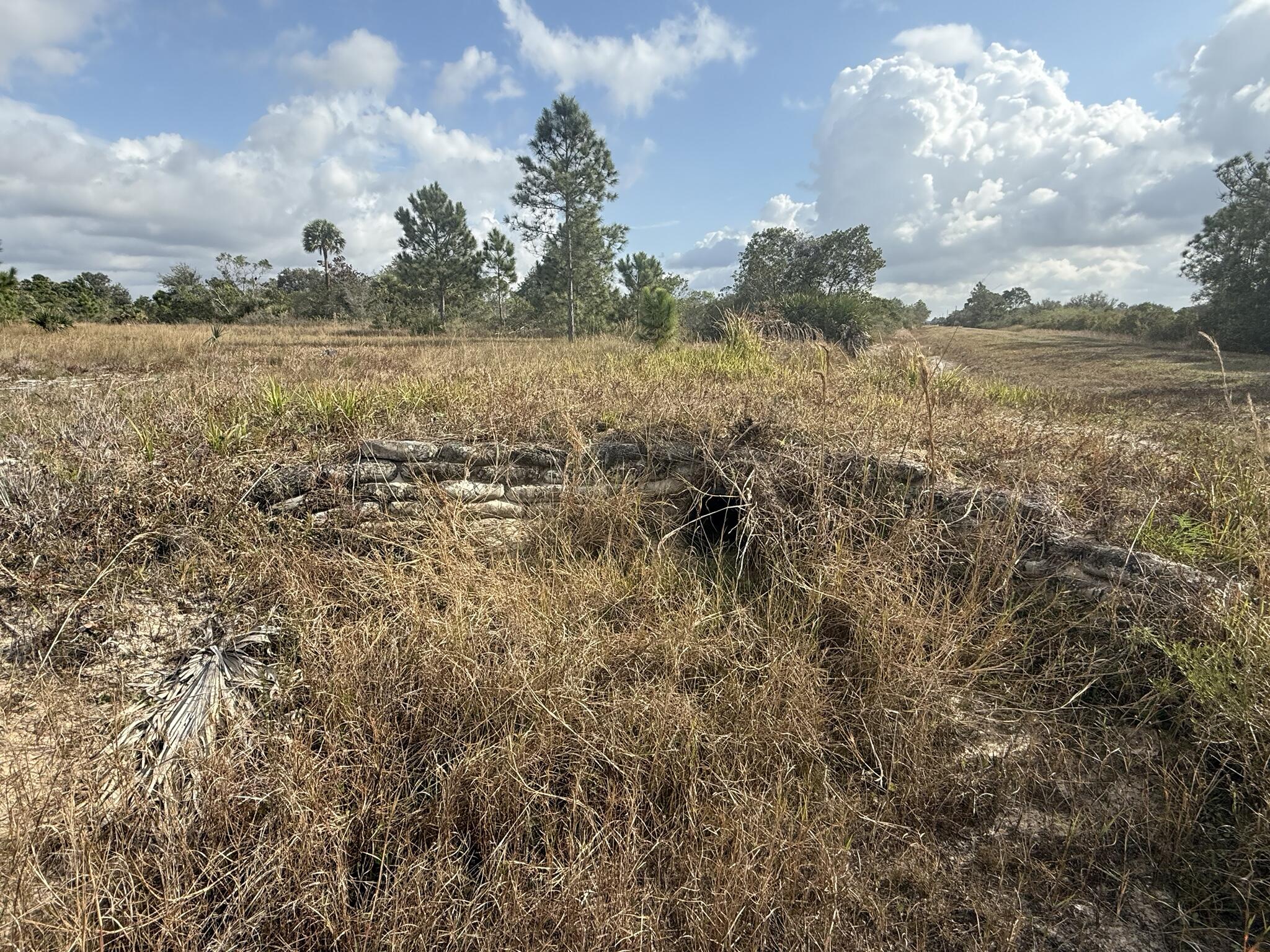 SOUTHERN COLONIZATION CO - Land