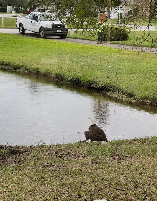 OAK CHASE SUBDIVISION PHASE II - Residential