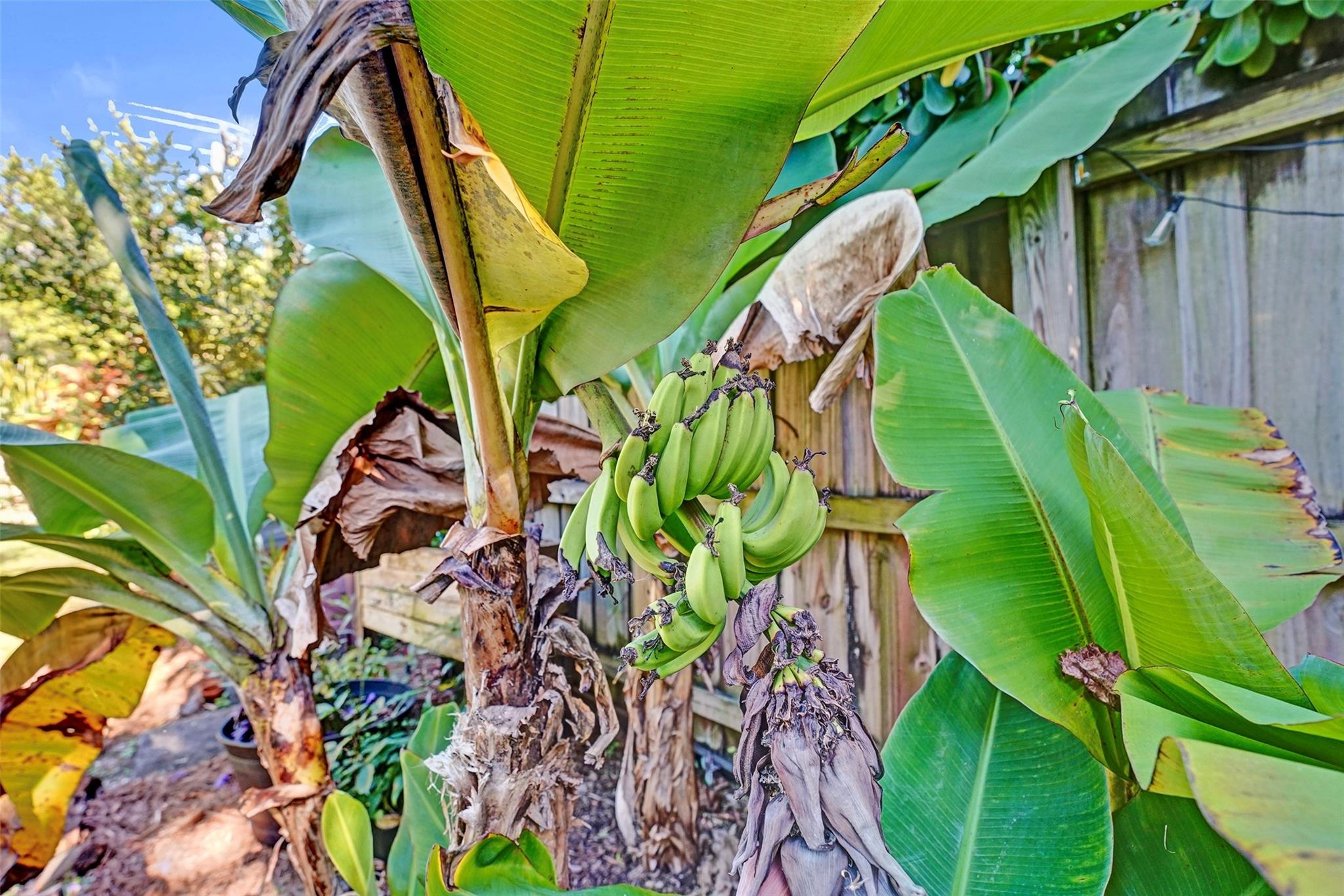 Hollywood Hills 6-22 B - Residential