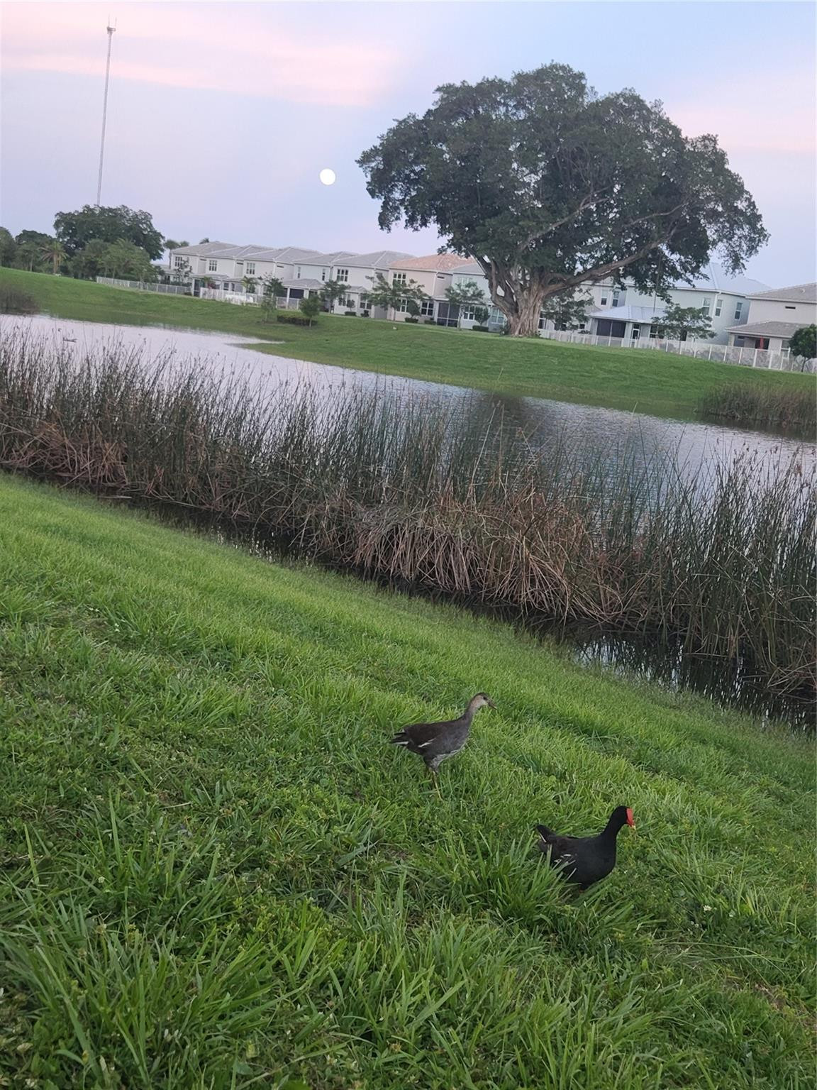 HILLCREST NO 21 - Residential