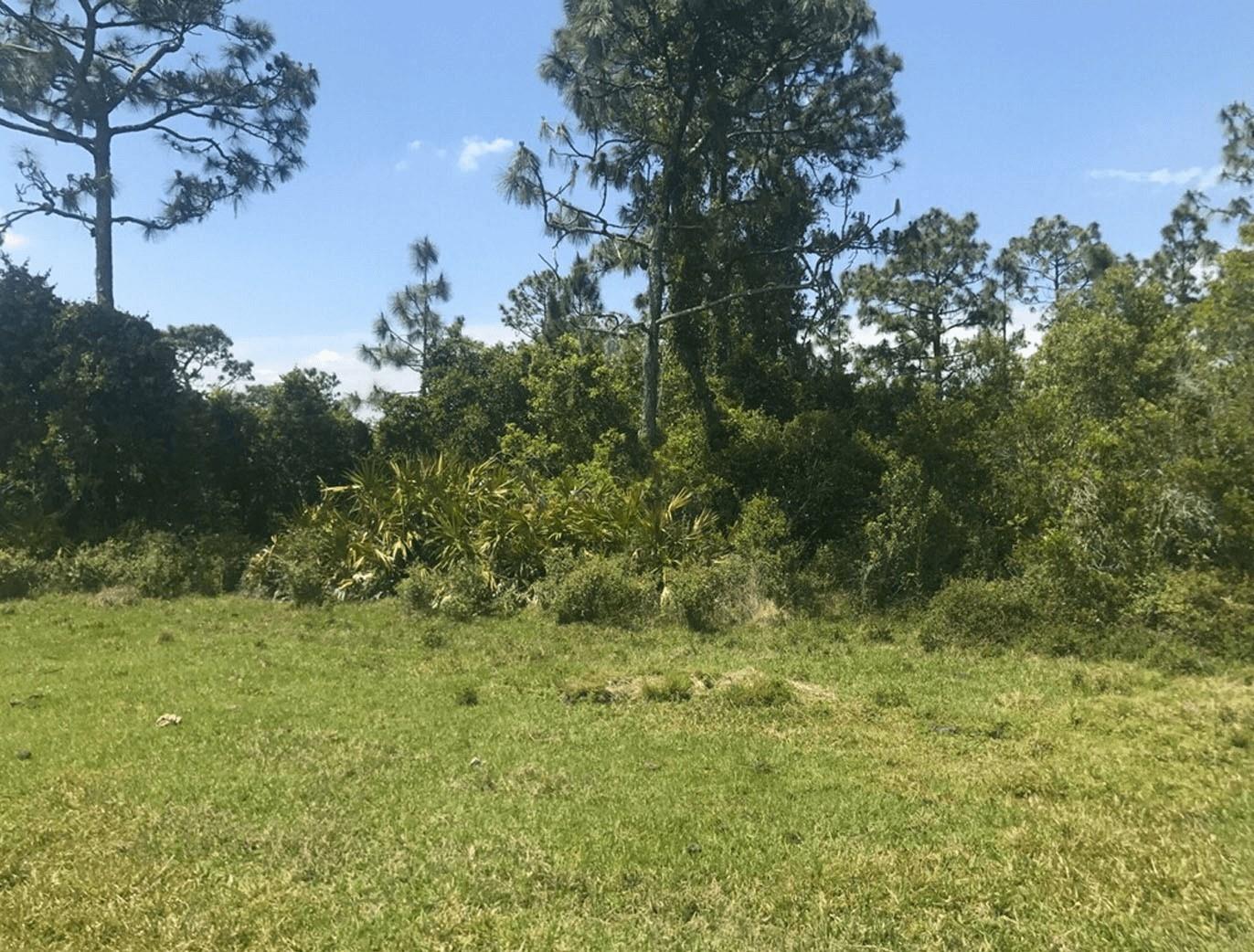 4.97 Acres in Holopaw (Suburban Estates), 10,000-acre recreational and hunting paradise just minutes from St. Cloud and Orlando. Ideal for four-wheeling, ATV/side-by-side adventures, mudding, camping, hunting, and target shooting
Owner Financing Available with only $5k down