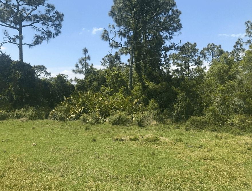 4.97 Acres in Holopaw (Suburban Estates),  10,000-acre recreational and hunting paradise just minutes from St. Cloud and Orlando. Ideal for  four-wheeling, ATV/side-by-side adventures, mudding, camping, hunting, and target shooting
Owner Financing Available with only $5k down