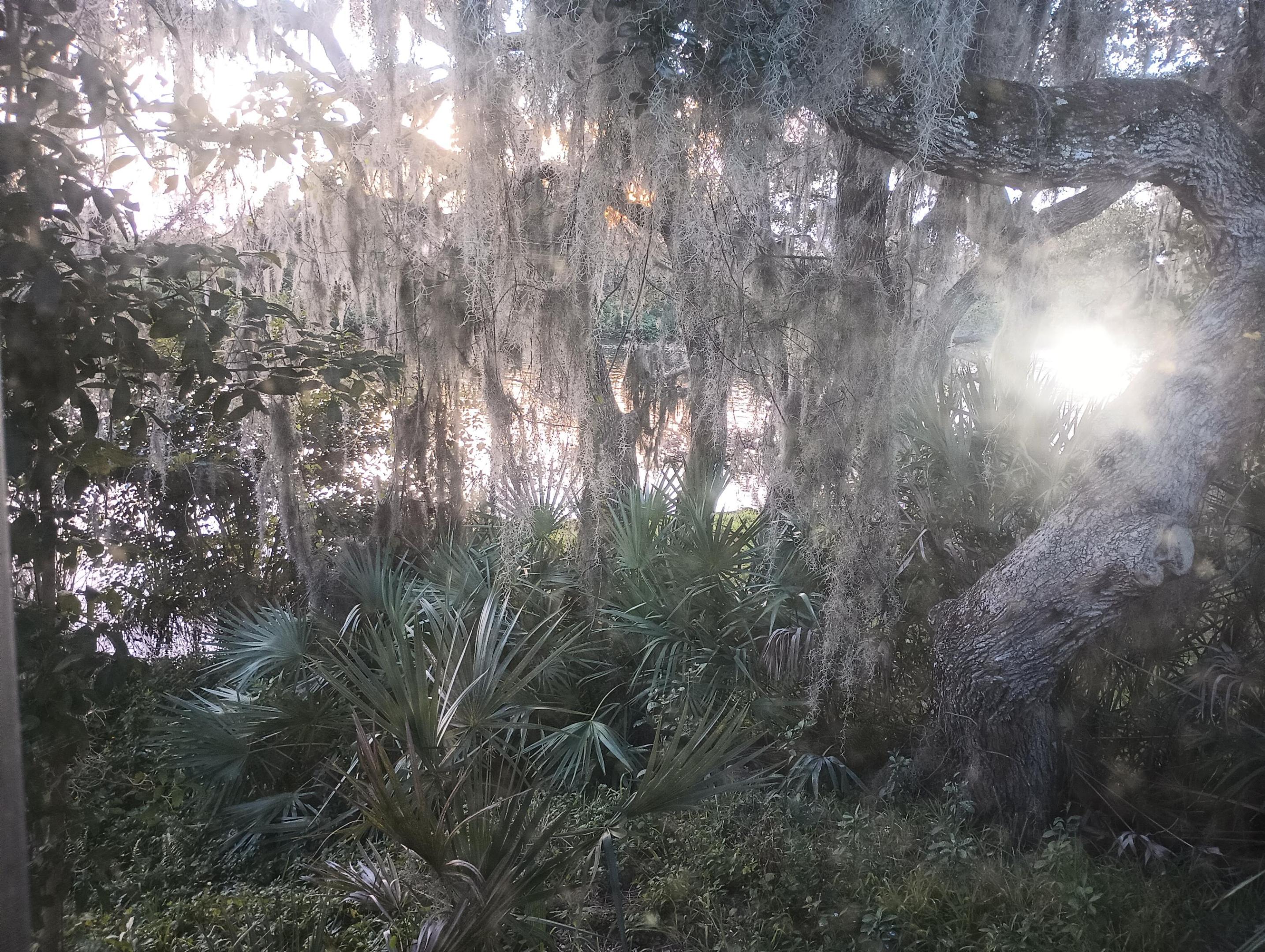 Spanish Lakes River Front - Residential