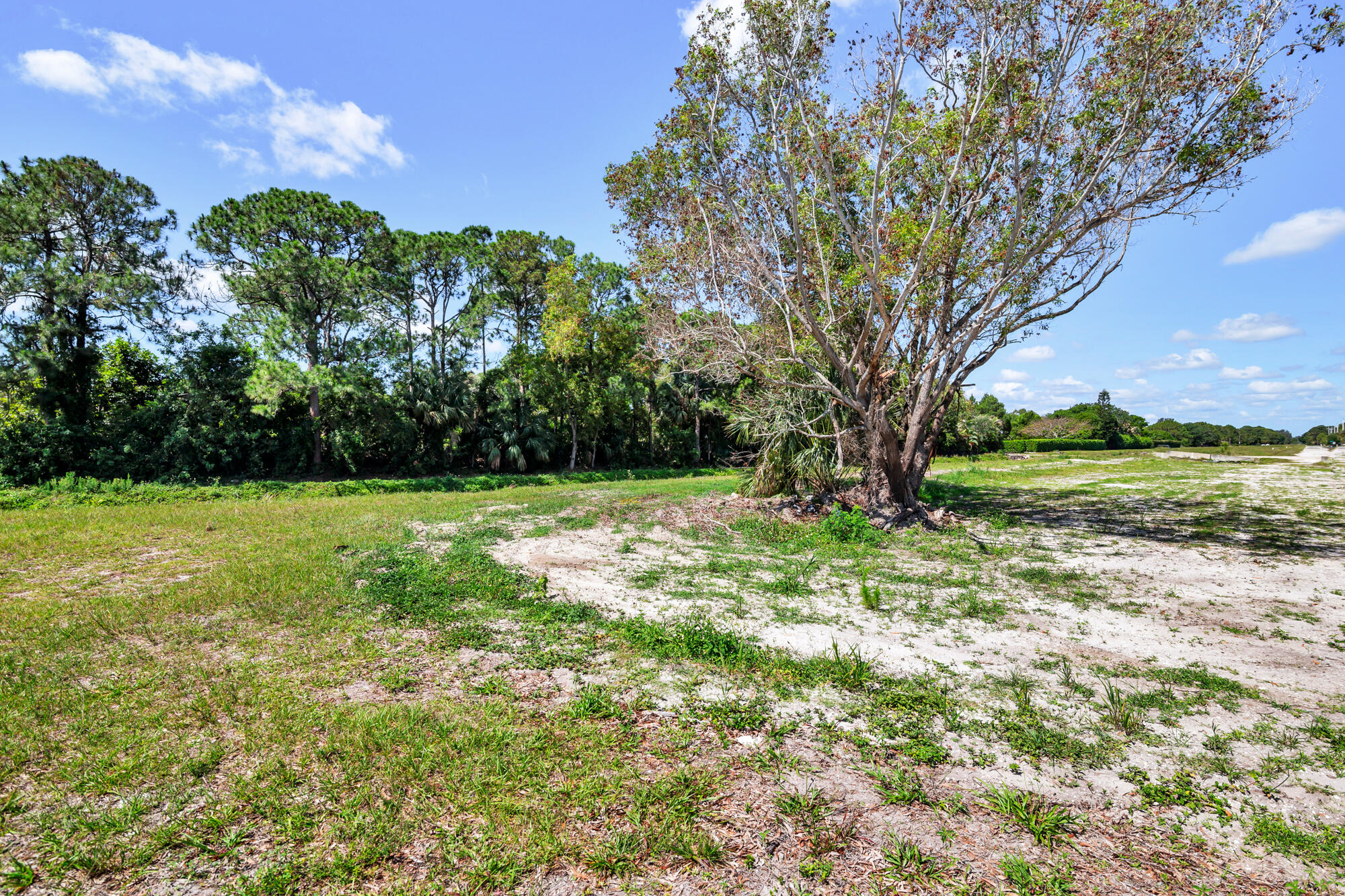 Palm Beach Estates - Land