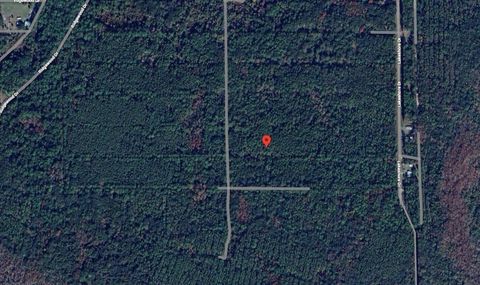 208 Garrison Avenue Georgetown FL 32139