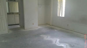 CONGRESS LAKES - Residential