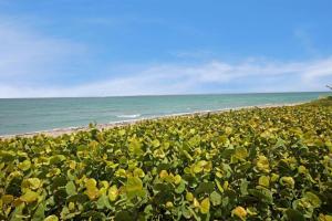 Jupiter Island - Residential