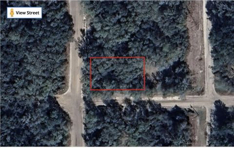 Tbd Annette Avenue Interlachen FL 32148