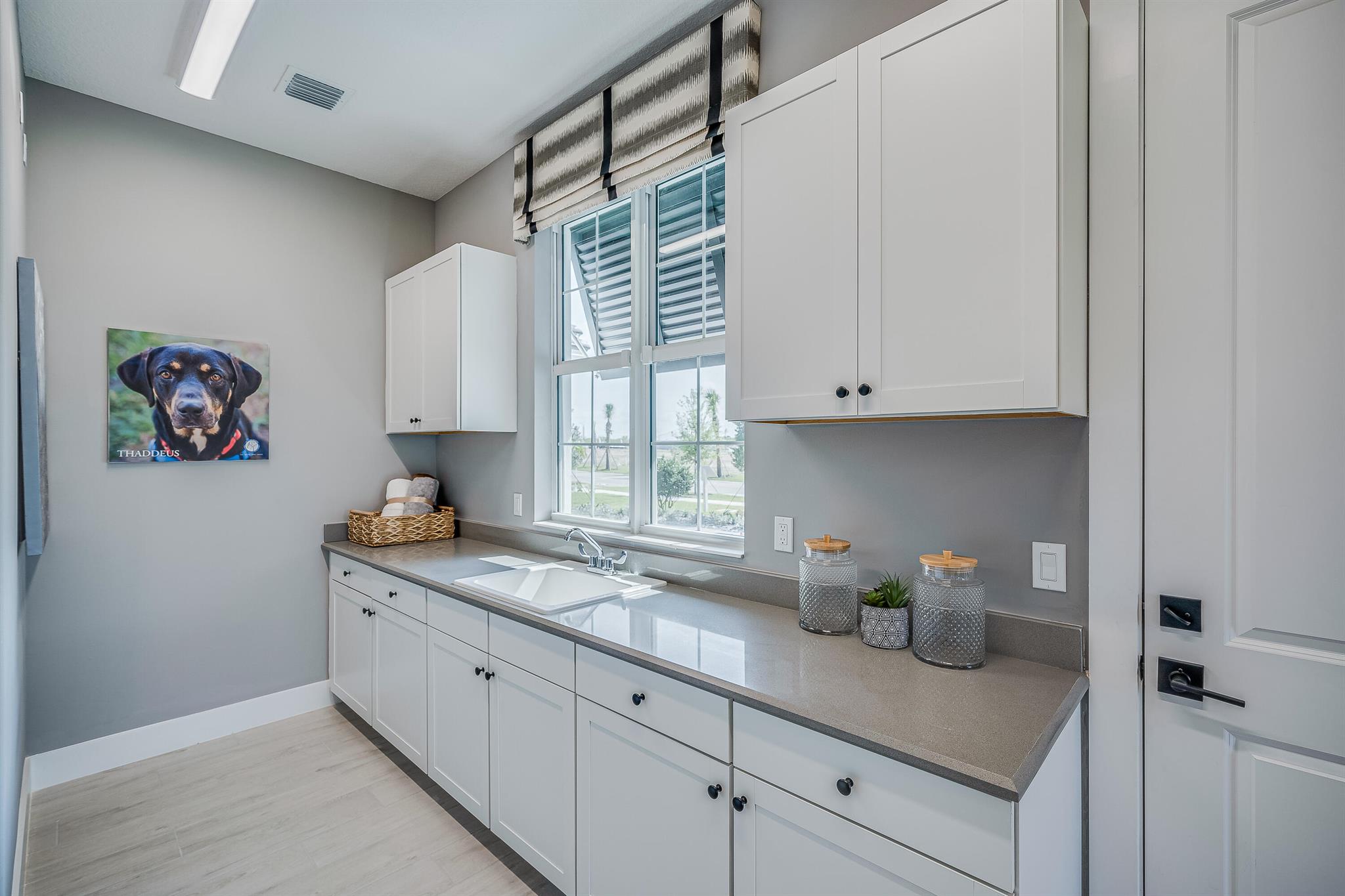 BELTERRA PHASE 1 PLAT 1 - Residential