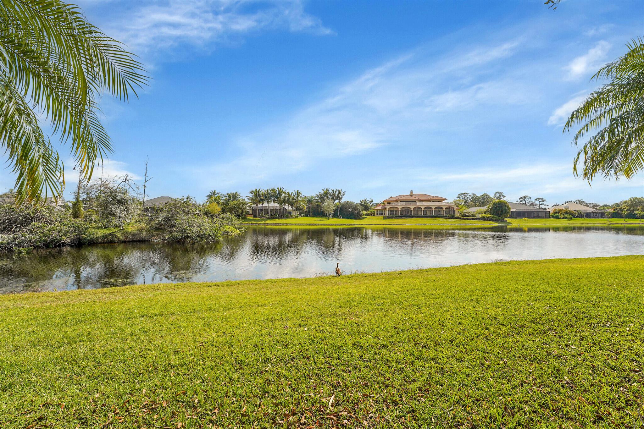 SABAL CREEK PHASE 1 - Residential