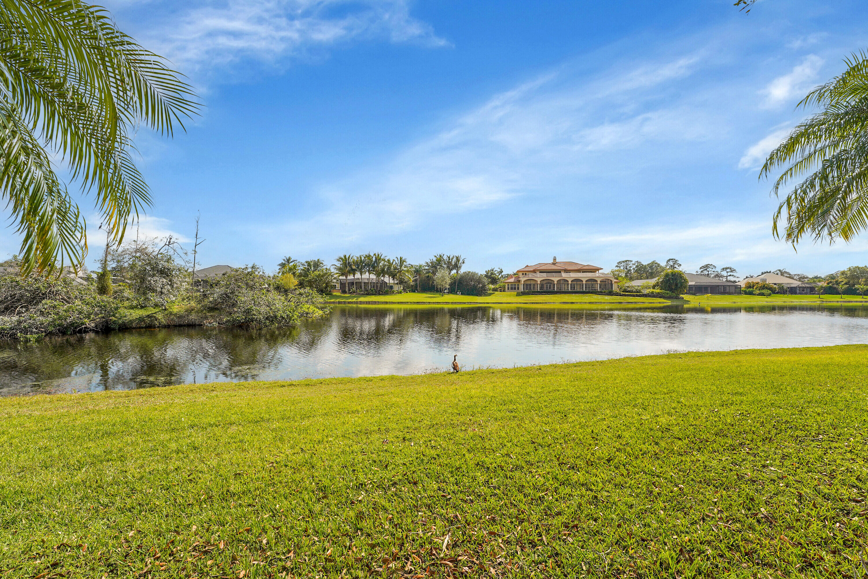 SABAL CREEK PHASE 1 - Residential
