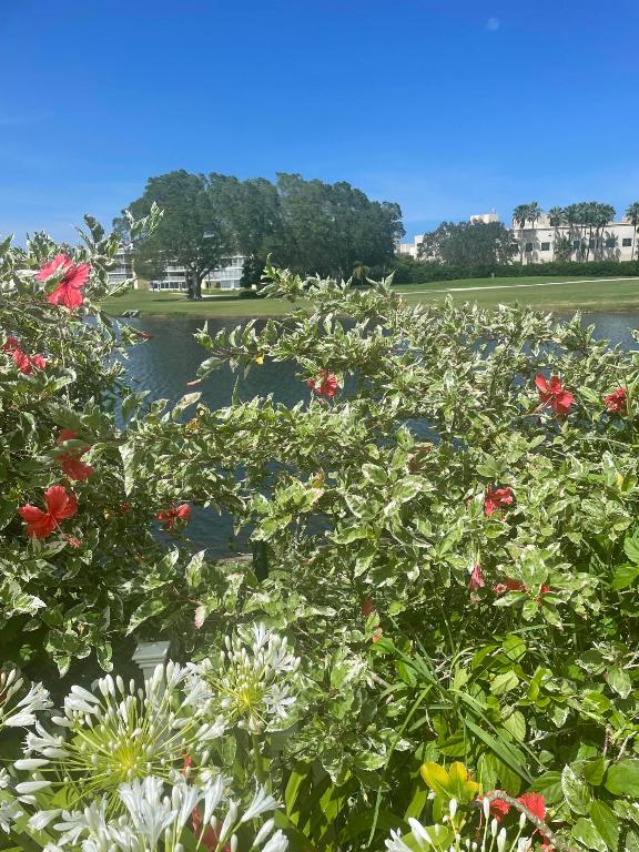 RIO VISTA VILLAS - Residential