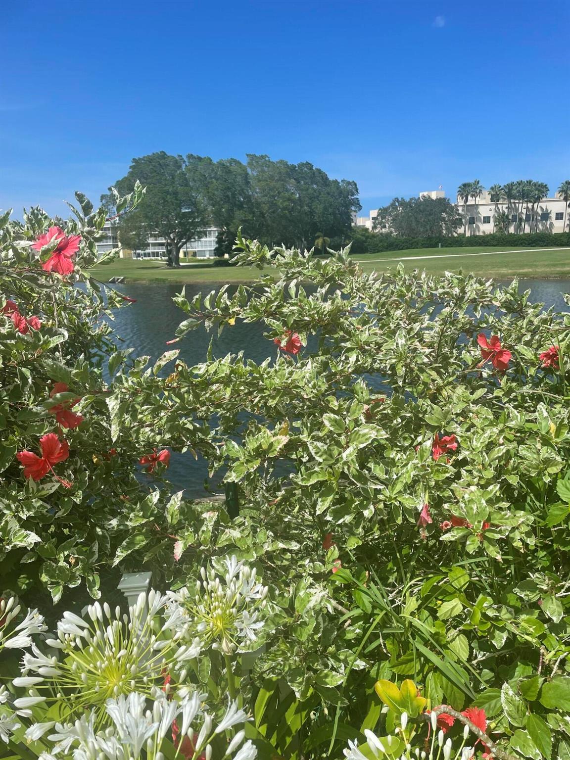 RIO VISTA VILLAS - Residential