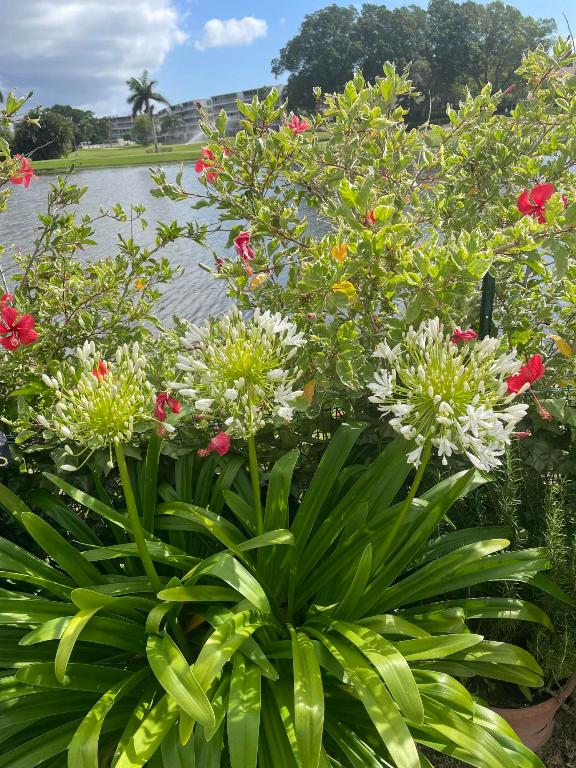 RIO VISTA VILLAS - Residential